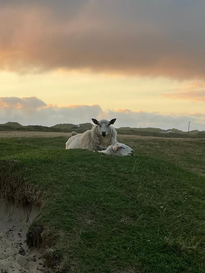 Fresh Hytte Ved Borestranden Med To Soverom Og Hems Klepp Luaran gambar